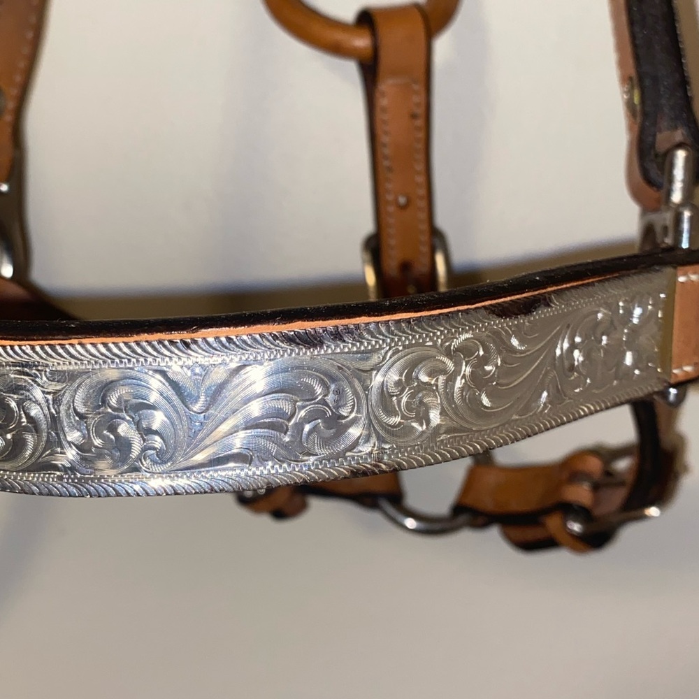Show Halter - Picture 6 of 6